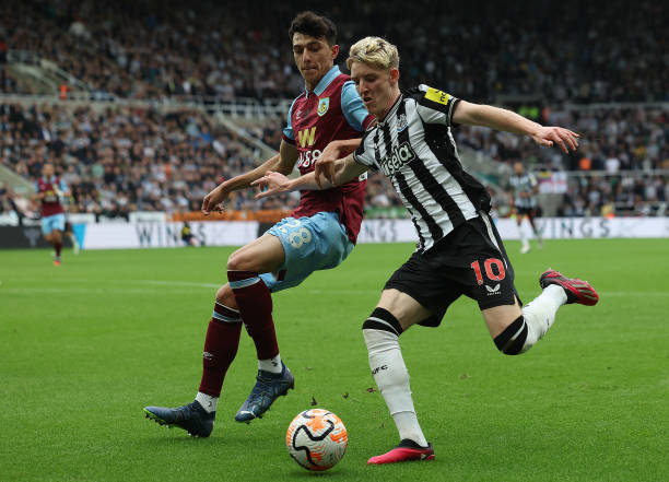 不可估量的 不可估量的