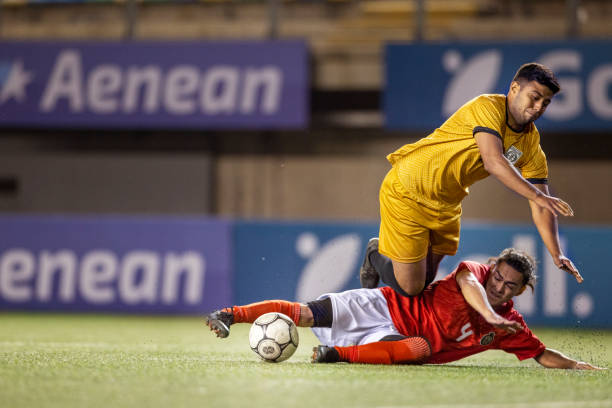 发展奠定了 发展奠定了