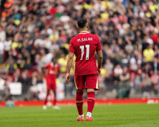 使他成为篮 使他成为篮